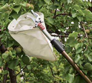 best Telescopic Fruit Picker