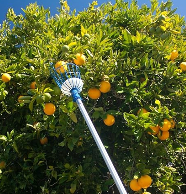 Best fruit picker in 2026